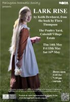 FDS Lark Rise 2026 Poster 4