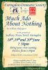 FDS poster - Much Ado About Nothing