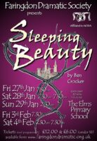 FDS - The Sleeping Beauty poster