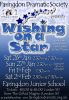 FDS poster - Wishing on a Star